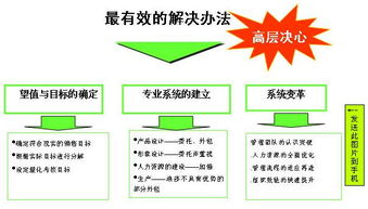 浪莎红 数字化时代的内装品牌互联网营销战略策划方案